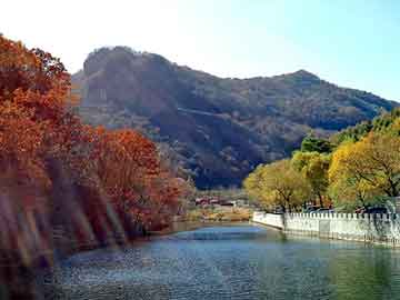 新澳天天开奖资料大全旅游团，站群排名